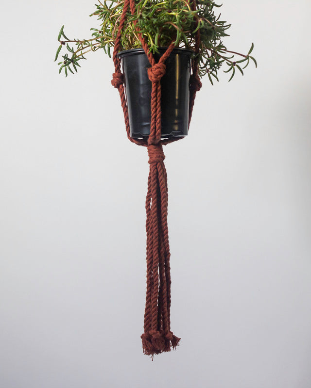Bluefields Macrame Plant Holder | Tile Red